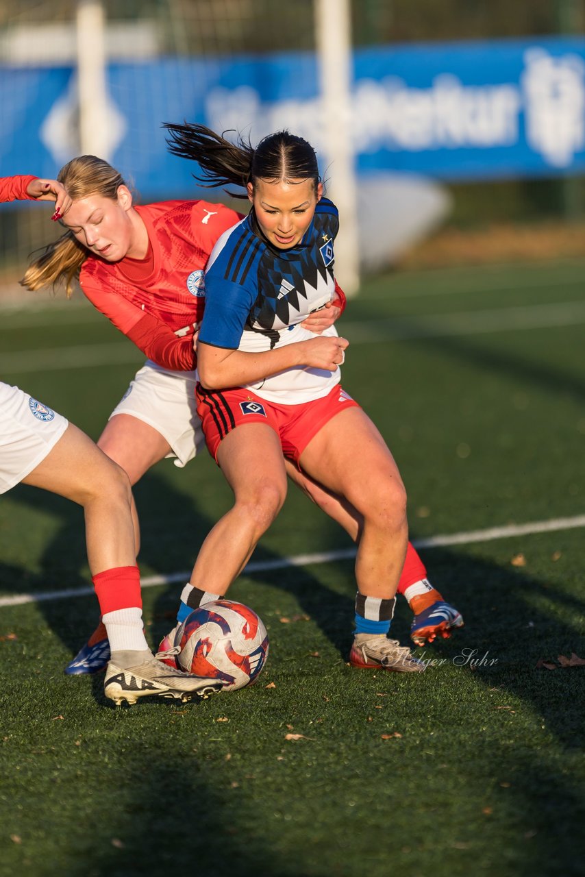 Bild 251 - wBJ Hamburger SV - Holstein Kiel : Ergebnis: 8:0